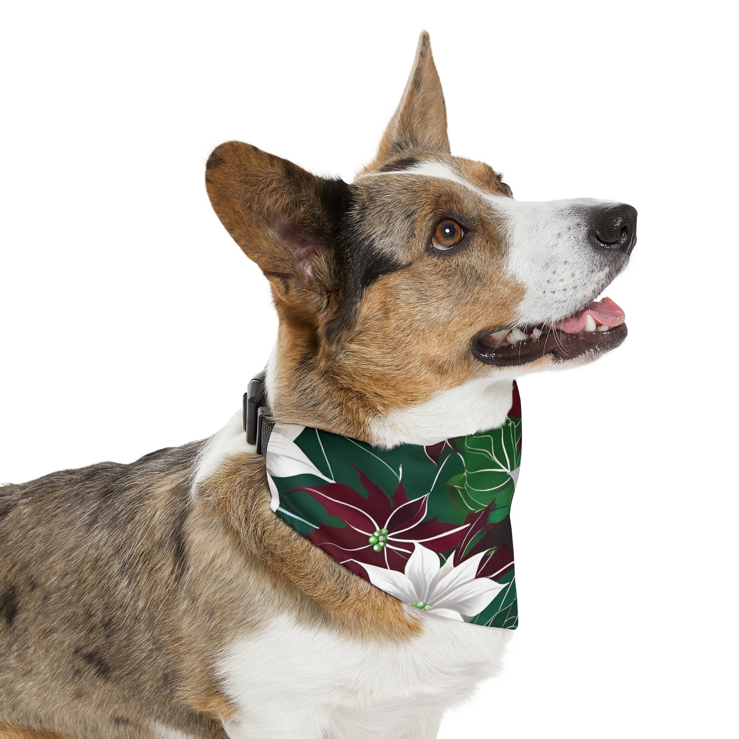 Pet Bandana Collar - HAYVYN