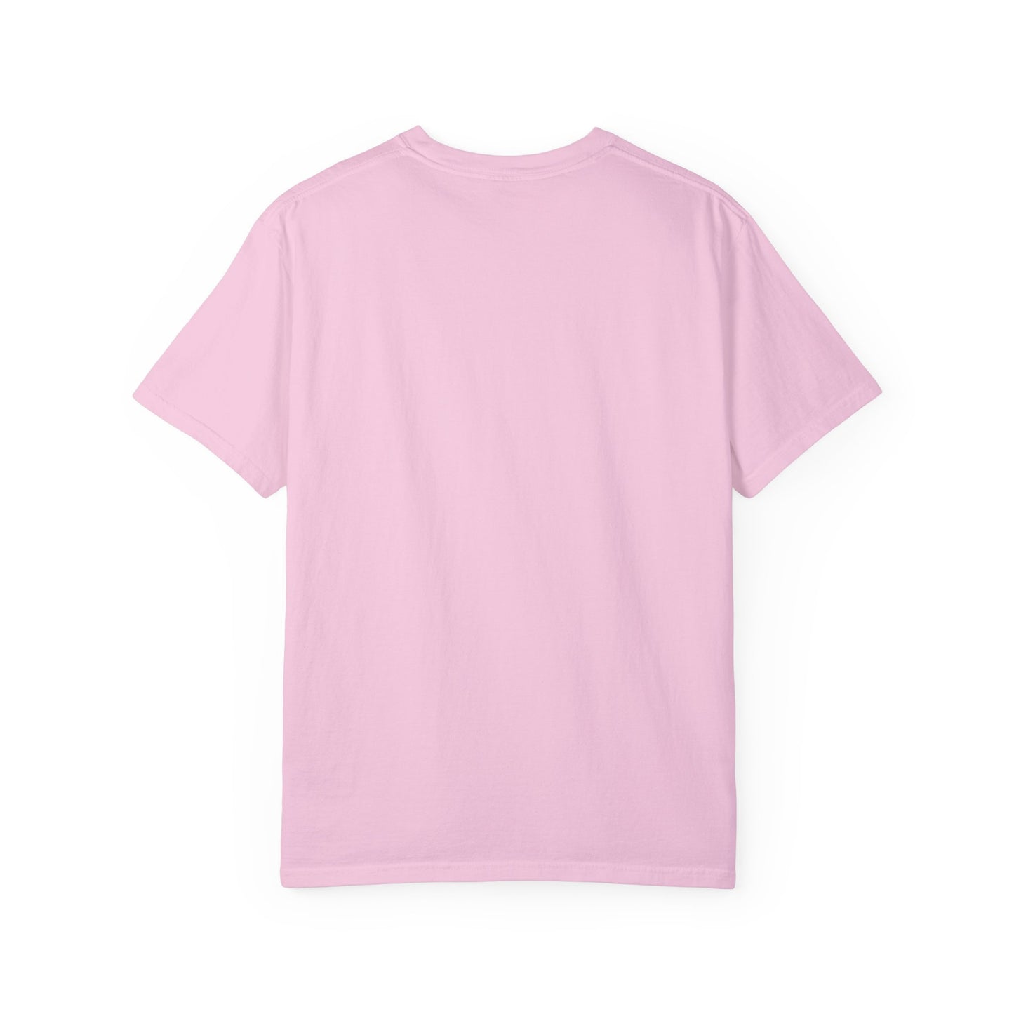 Unisex Garment-Dyed T-shirt Dolphin