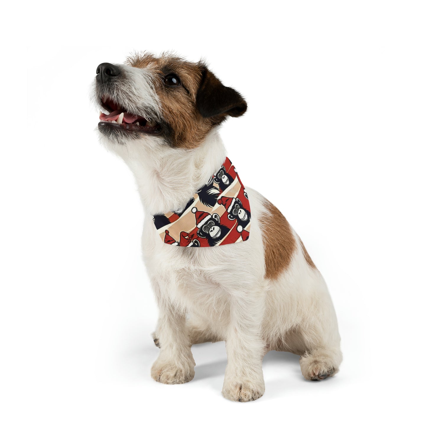 Pet Bandana Collar - HAYVYN