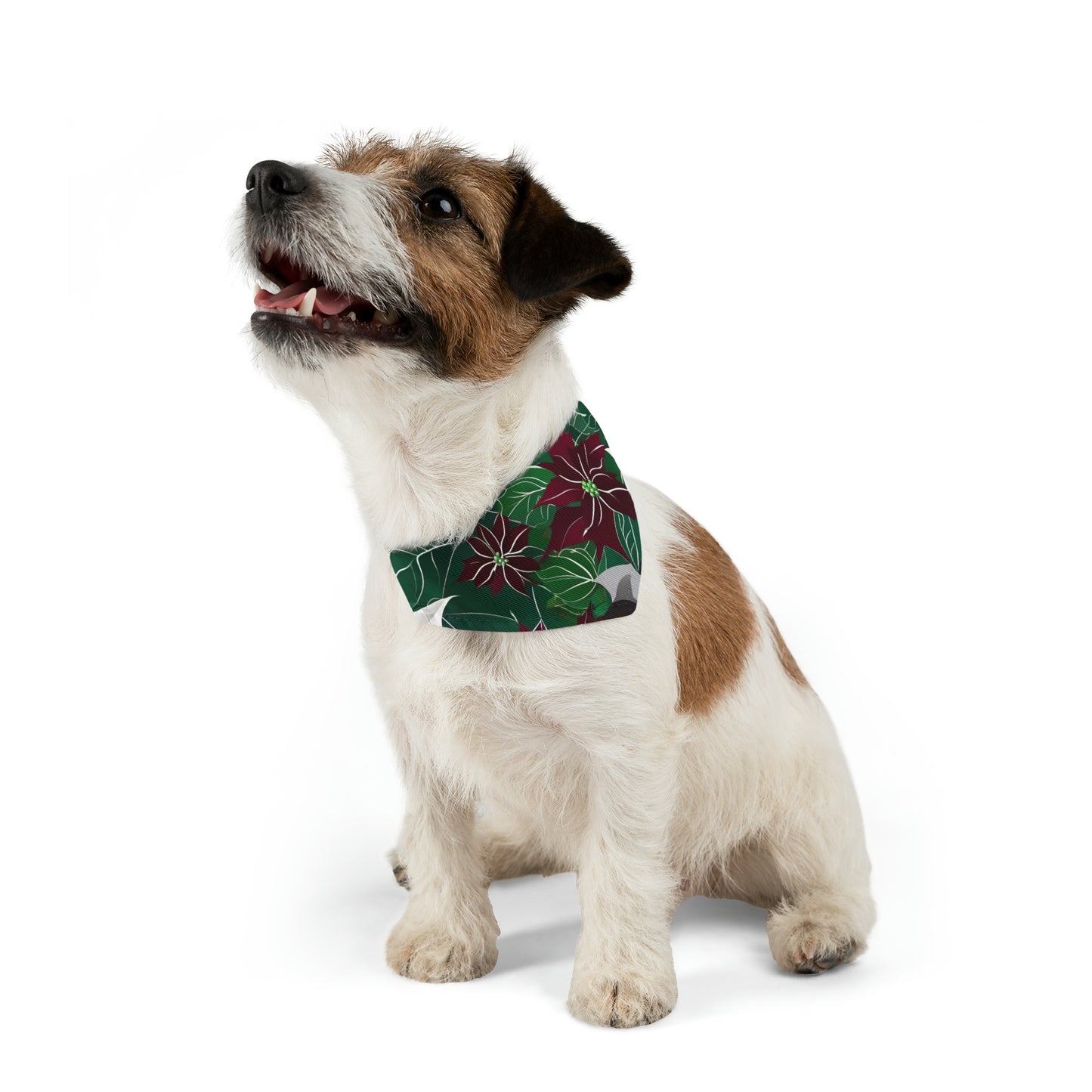 Pet Bandana Collar - HAYVYN