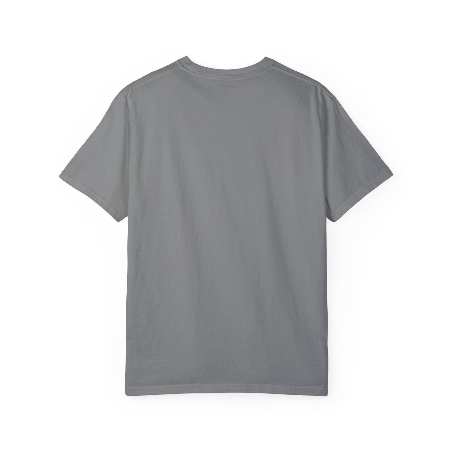 Unisex Garment-Dyed T-shirt Dolphin