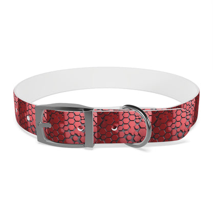 Dog Collar - HAYVYN