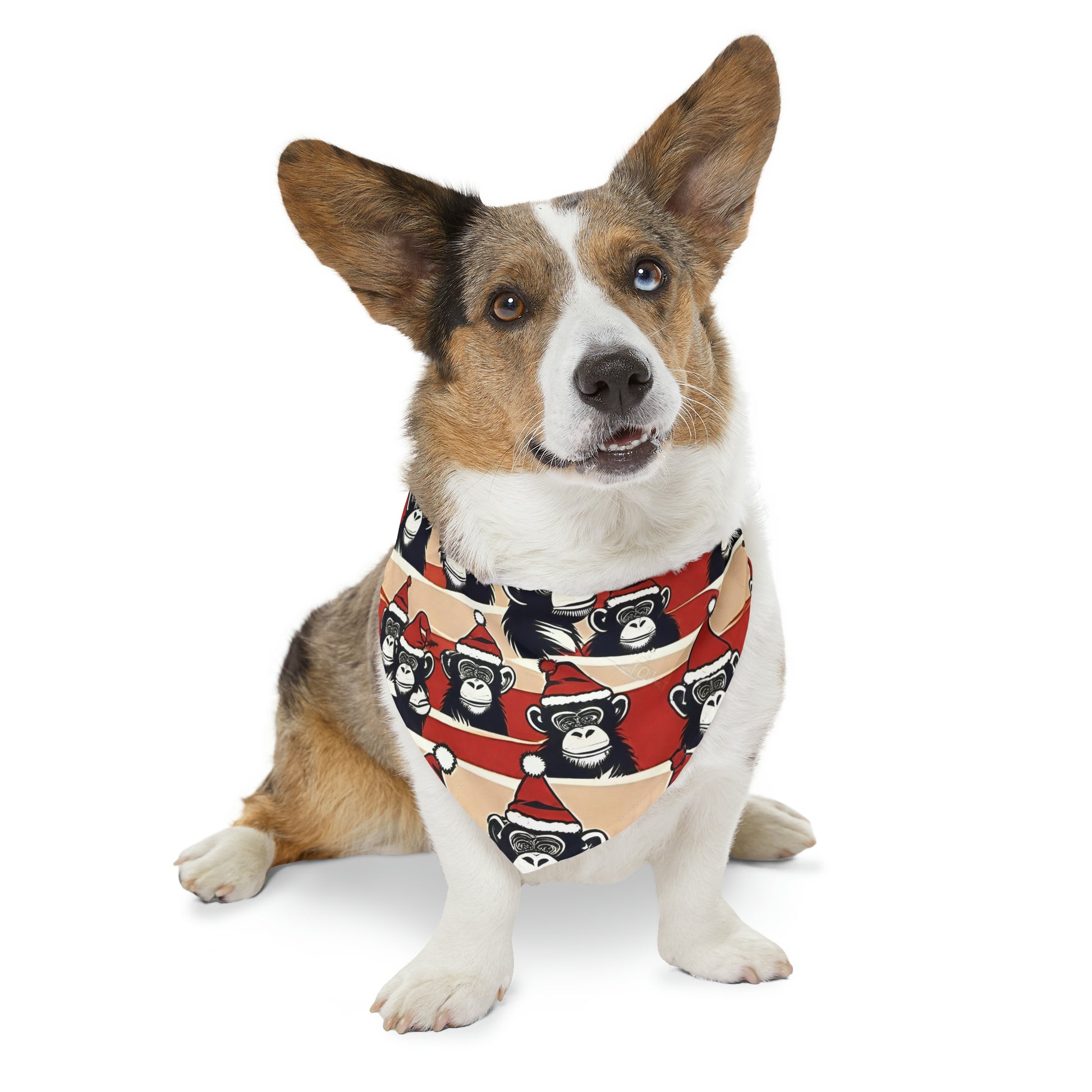 Pet Bandana Collar - HAYVYN