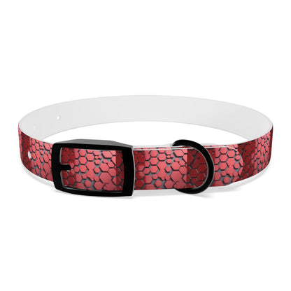 Dog Collar - HAYVYN