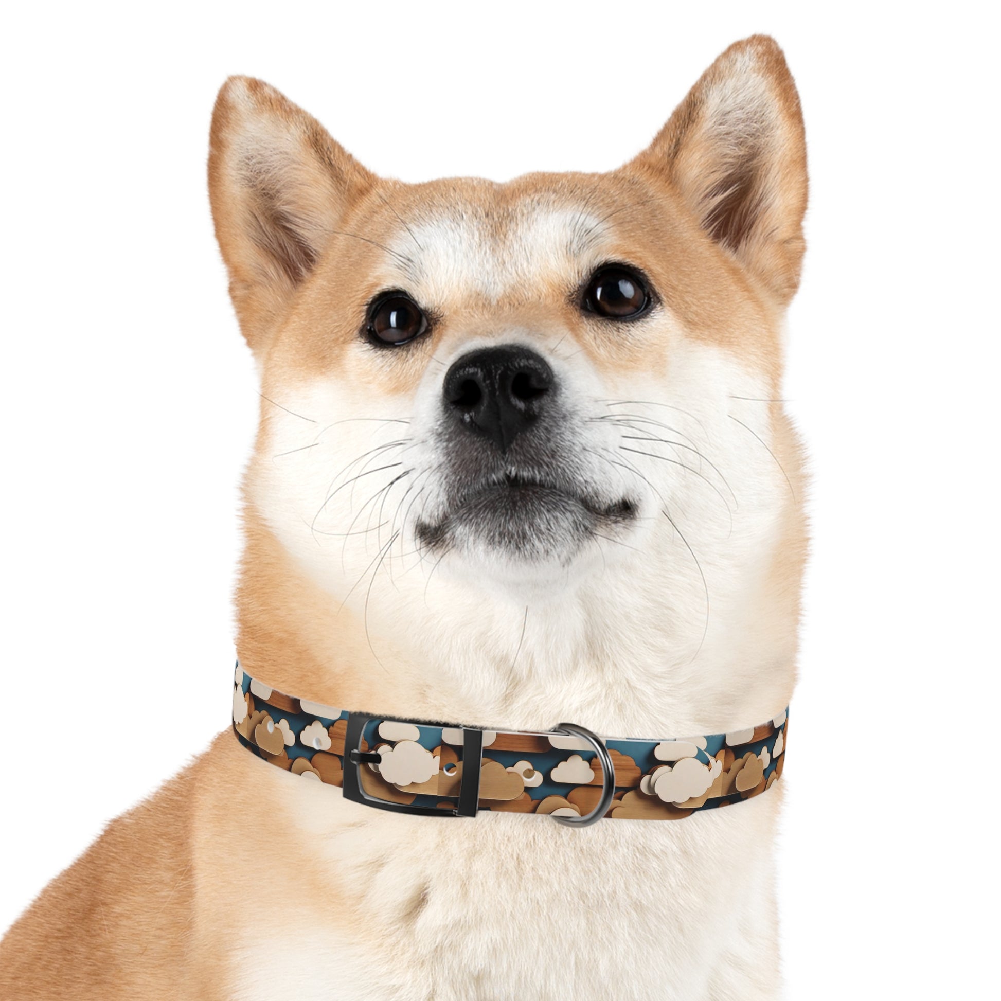 Dog Collar - HAYVYN