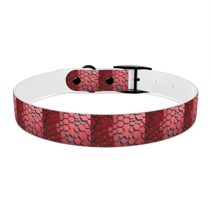 Dog Collar - HAYVYN