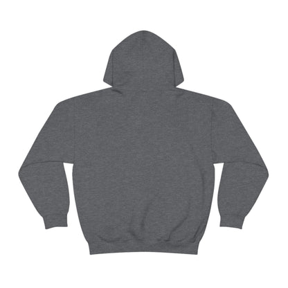 Unisex Heavy Blend™ Hooded Sweatshirt - HAYVYN