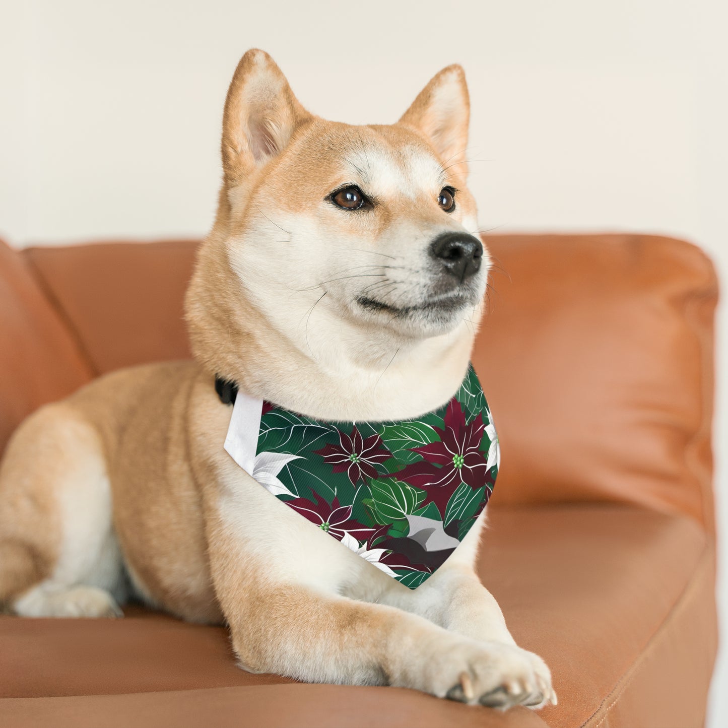 Pet Bandana Collar - HAYVYN