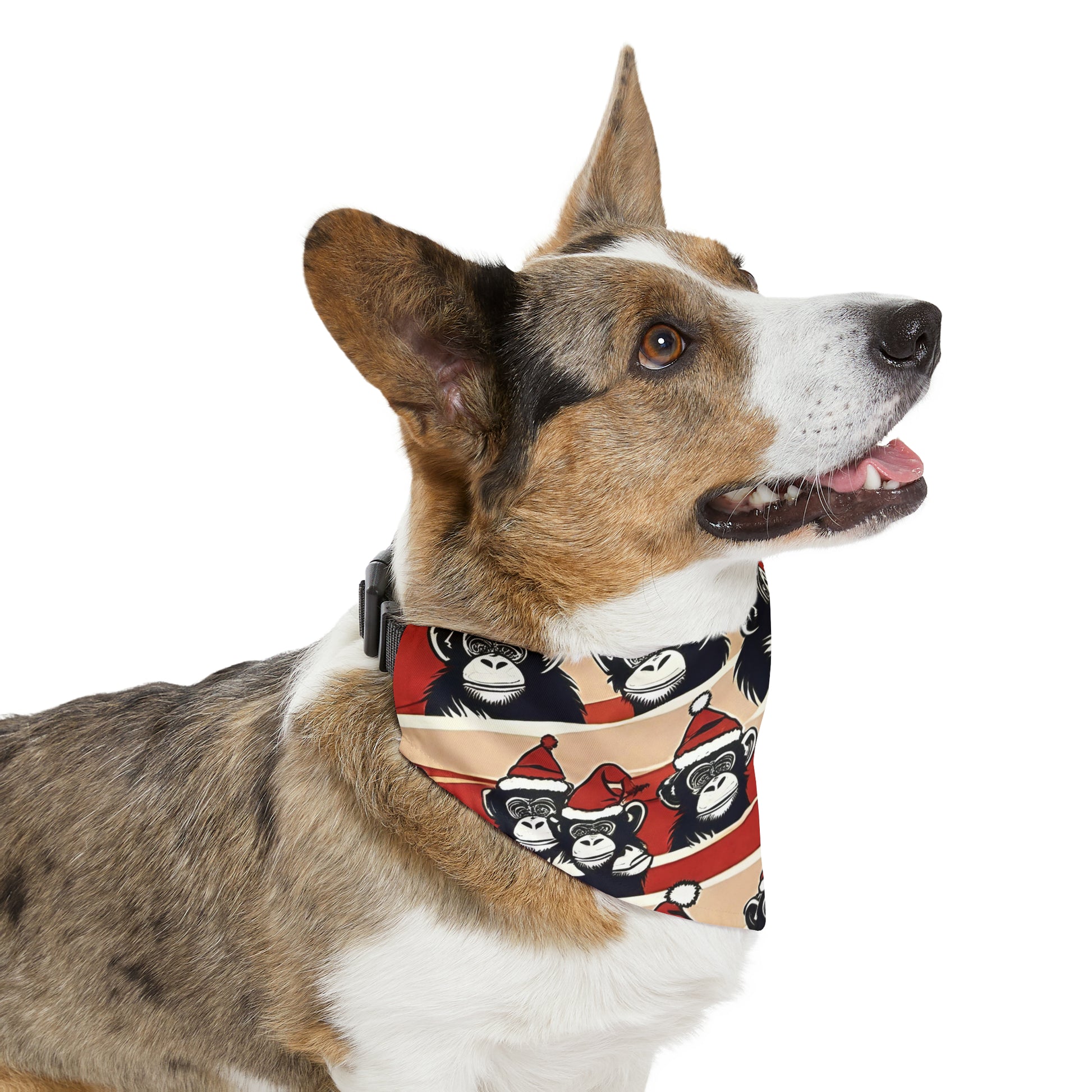 Pet Bandana Collar - HAYVYN