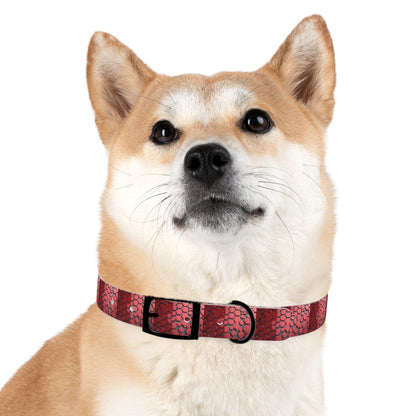 Dog Collar - HAYVYN