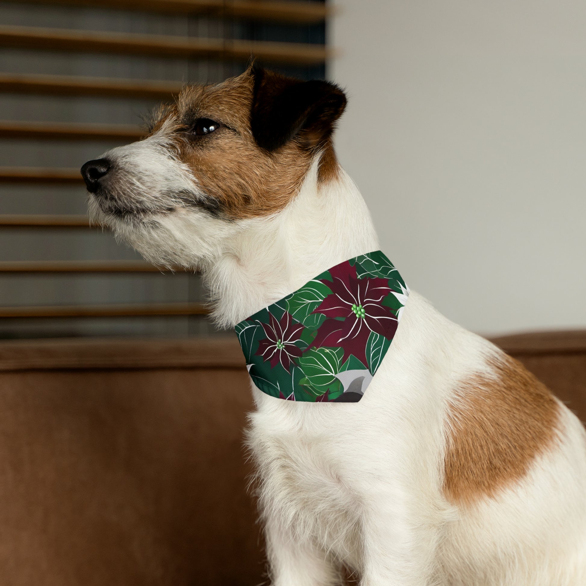 Pet Bandana Collar - HAYVYN