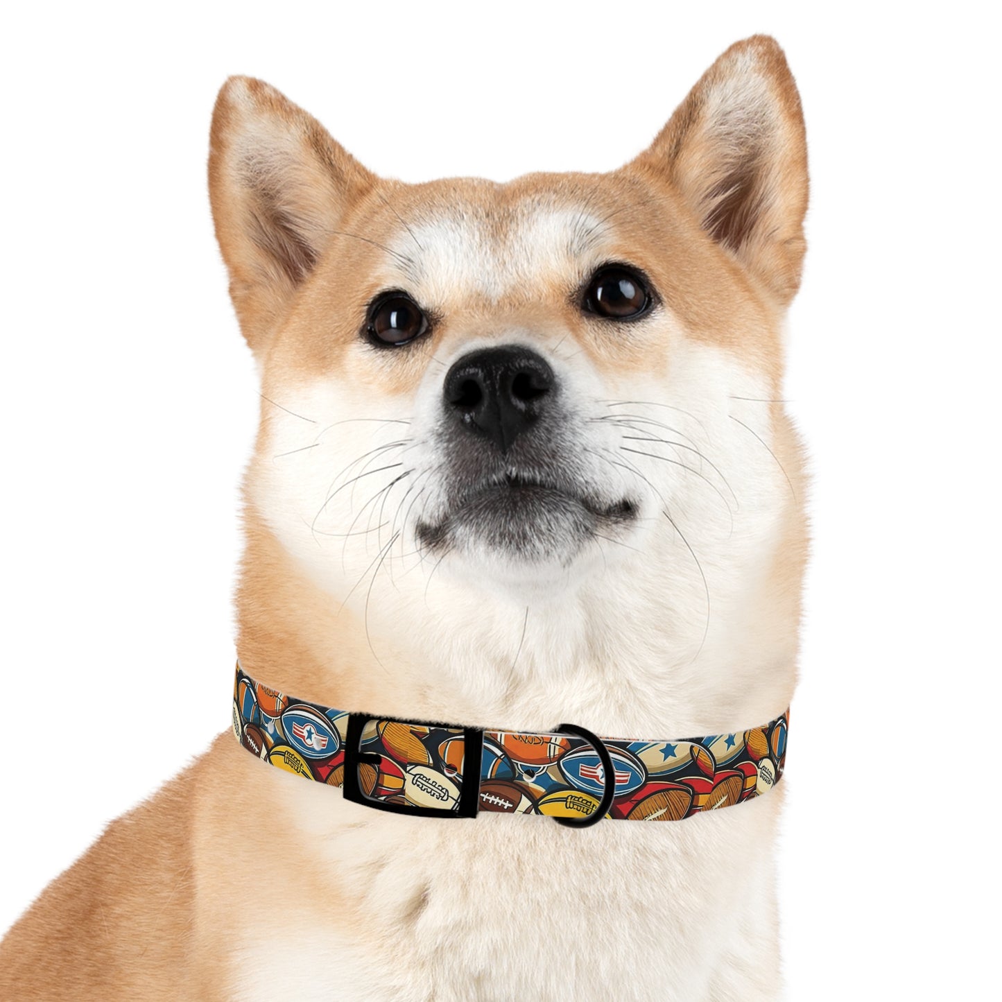 Dog Collar - HAYVYN