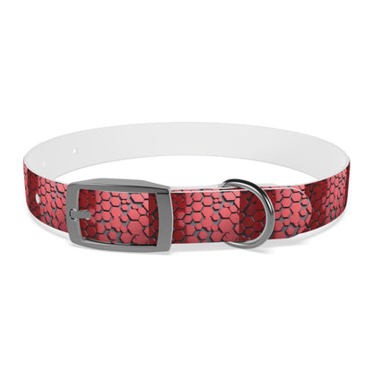 Dog Collar - HAYVYN