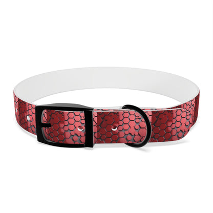 Dog Collar - HAYVYN