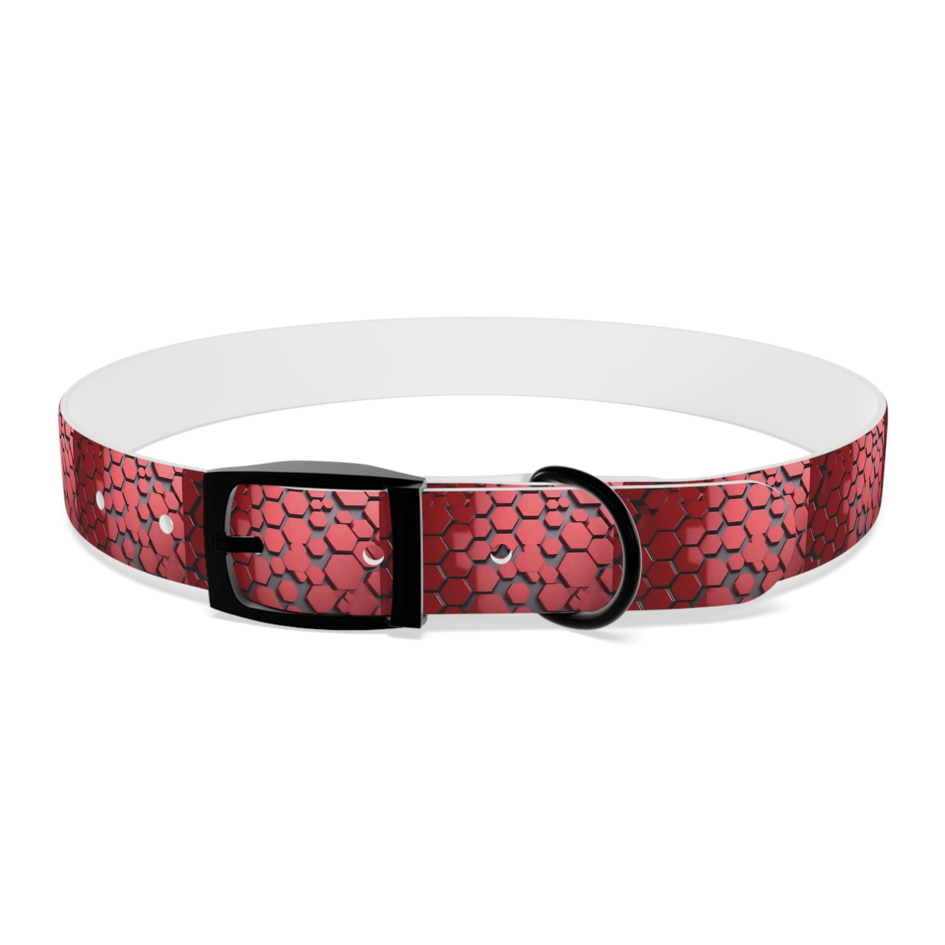 Dog Collar - HAYVYN