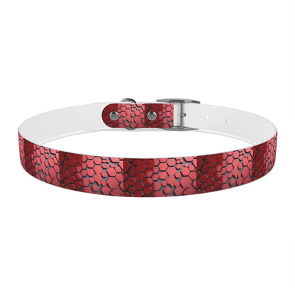 Dog Collar - HAYVYN