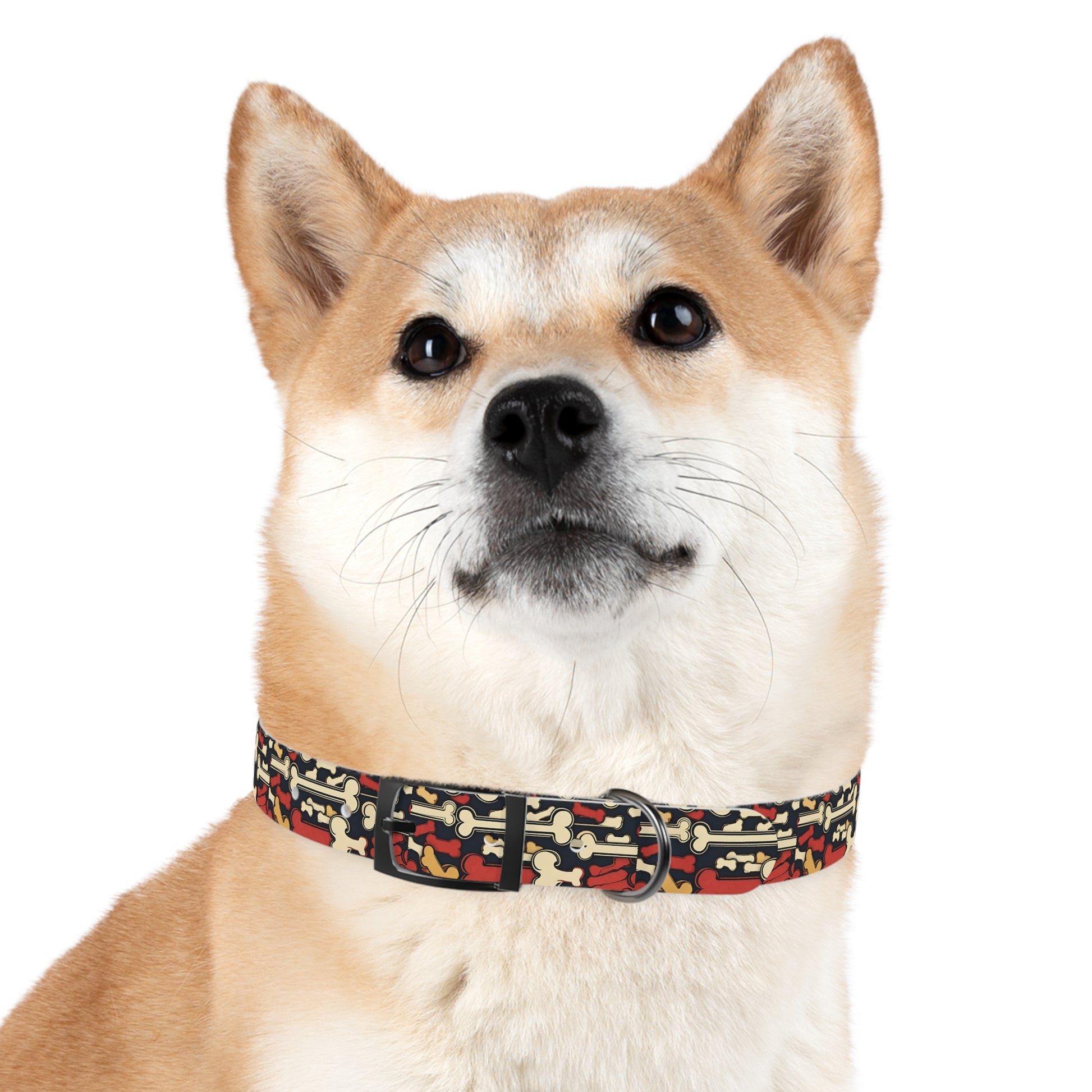 Dog Collar - HAYVYN