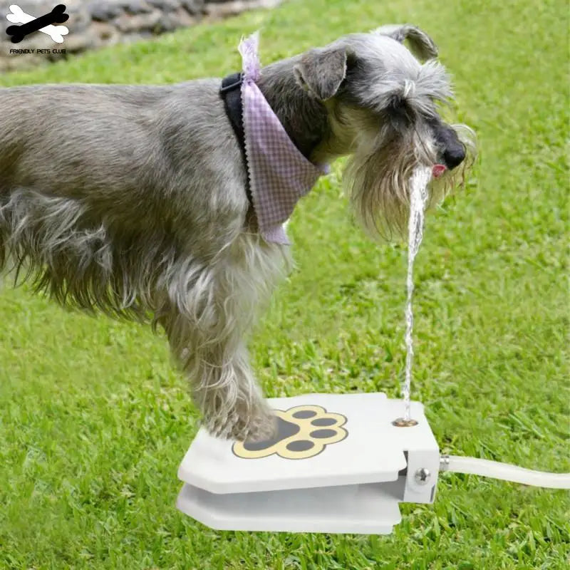 Automatic Dog Water Fountain Step On Toy Outdoor Joy With Pets security without electricity For Big Medium Small Dogs Drinking - HAYVYN