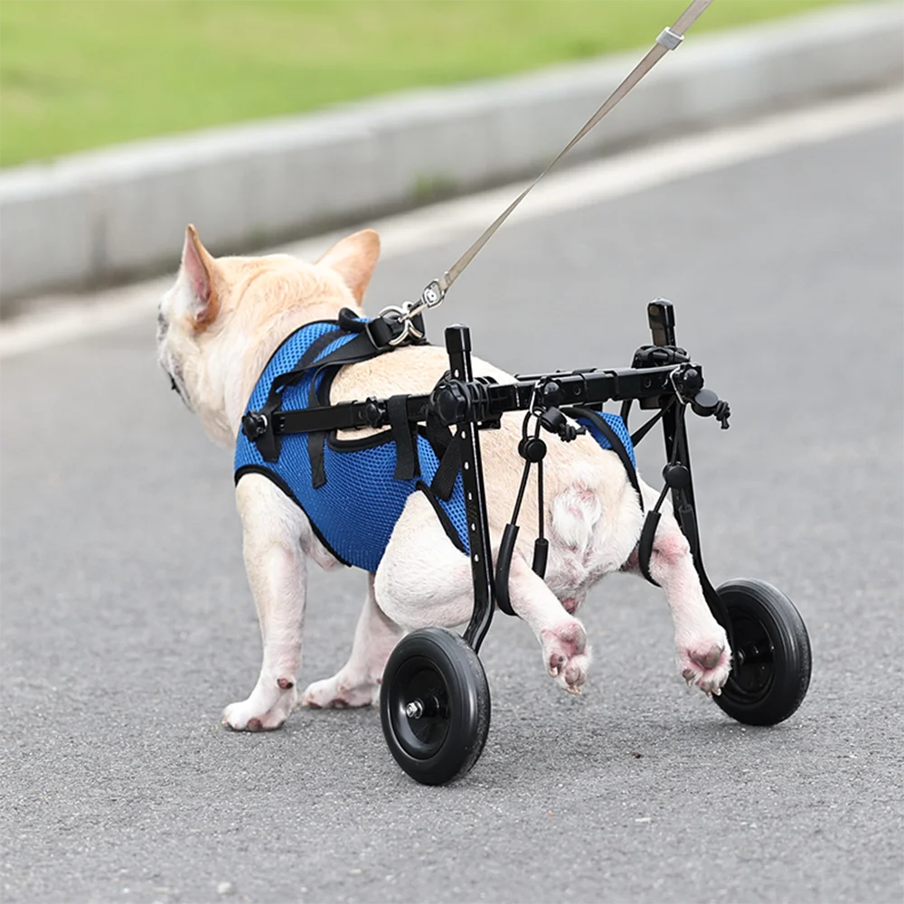 Pet Walk Booster Dog Wheelchair Disability Adjustable Dog Hind Legs Bracket Cat Dog Injured And Weak Rehabilitation Aid Car - HAYVYN