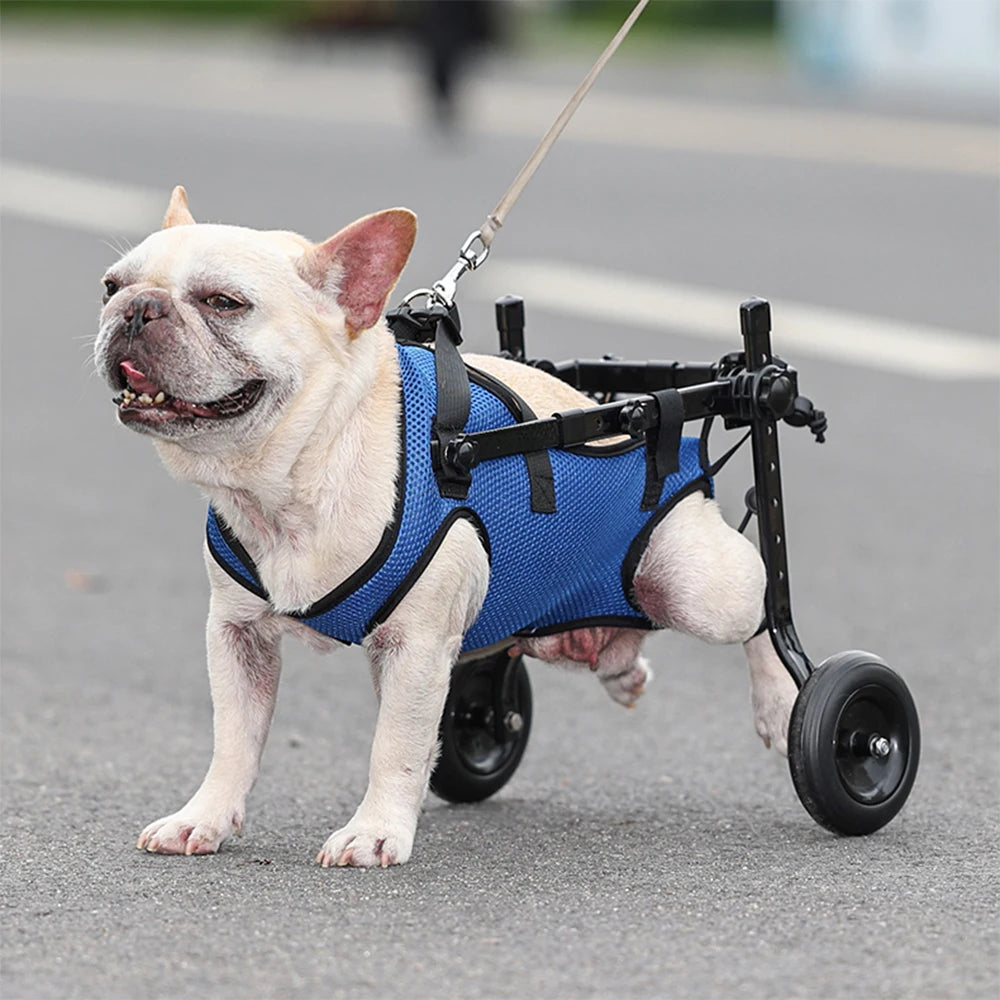 Pet Walk Booster Dog Wheelchair Disability Adjustable Dog Hind Legs Bracket Cat Dog Injured And Weak Rehabilitation Aid Car - HAYVYN