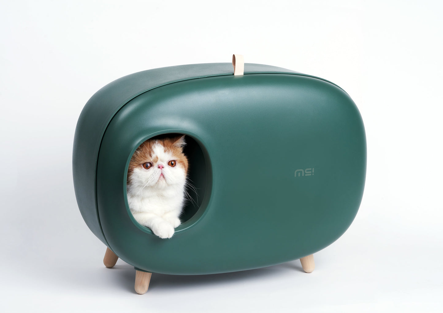 Makesure Modern Cat Litter Box And Tray - HAYVYN