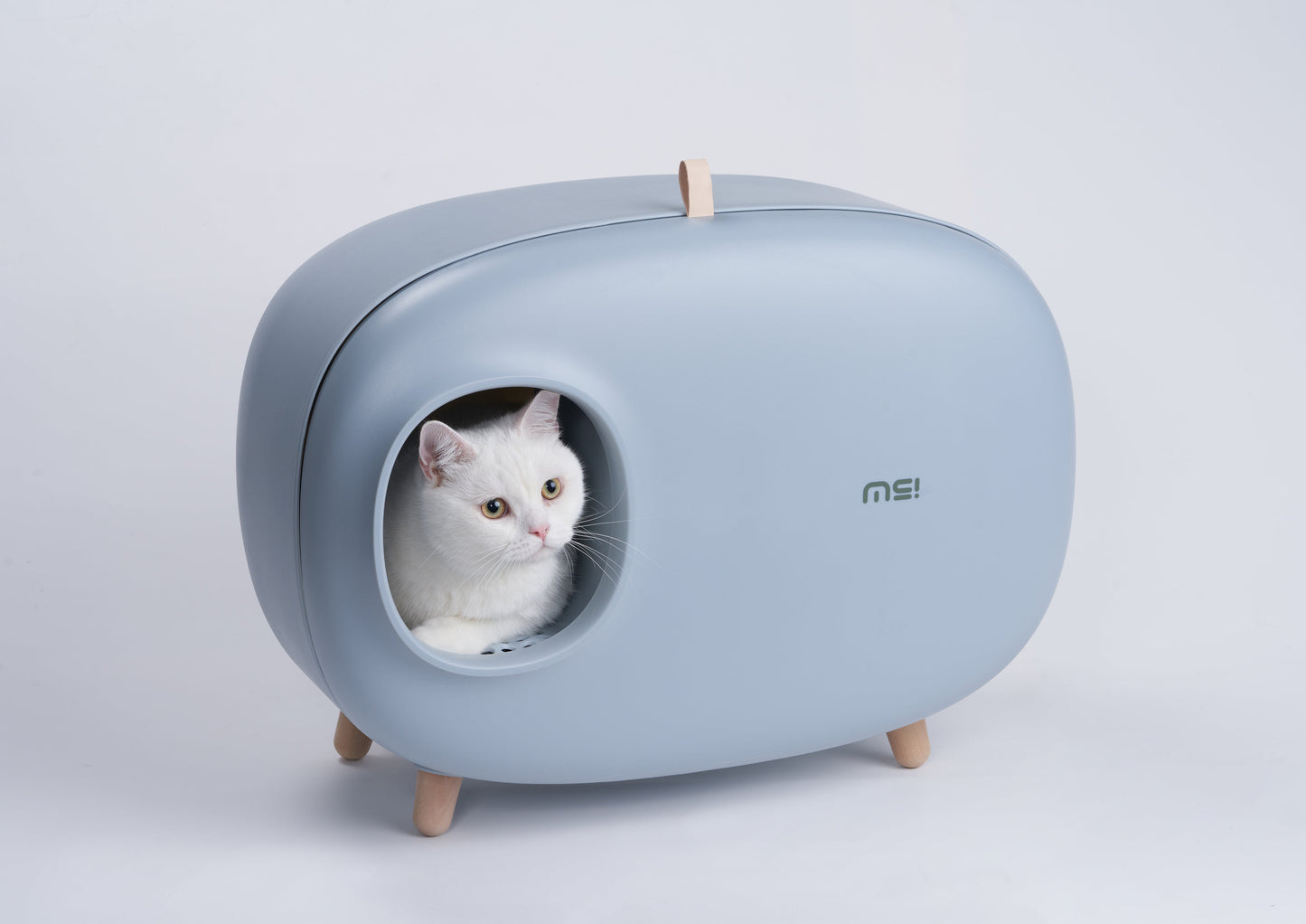 Makesure Modern Cat Litter Box And Tray - HAYVYN