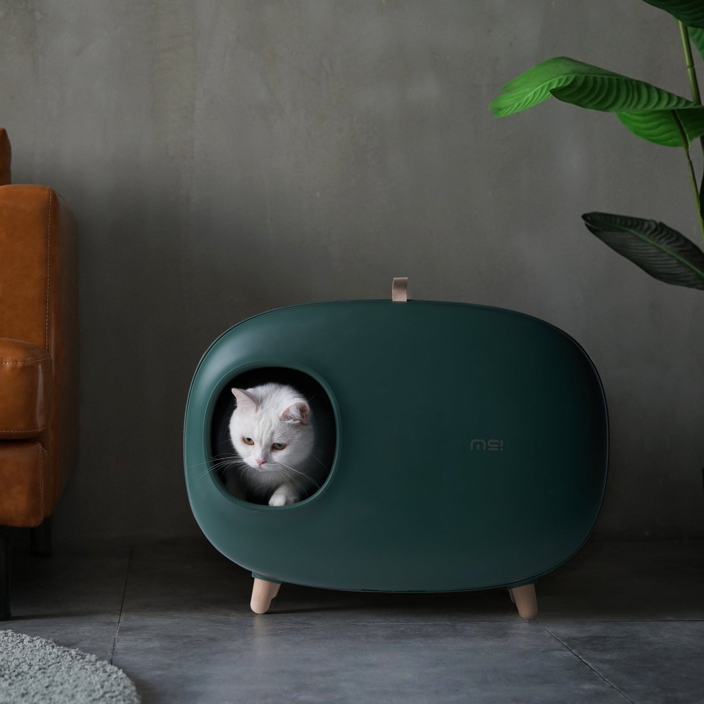 Makesure Modern Cat Litter Box And Tray - HAYVYN