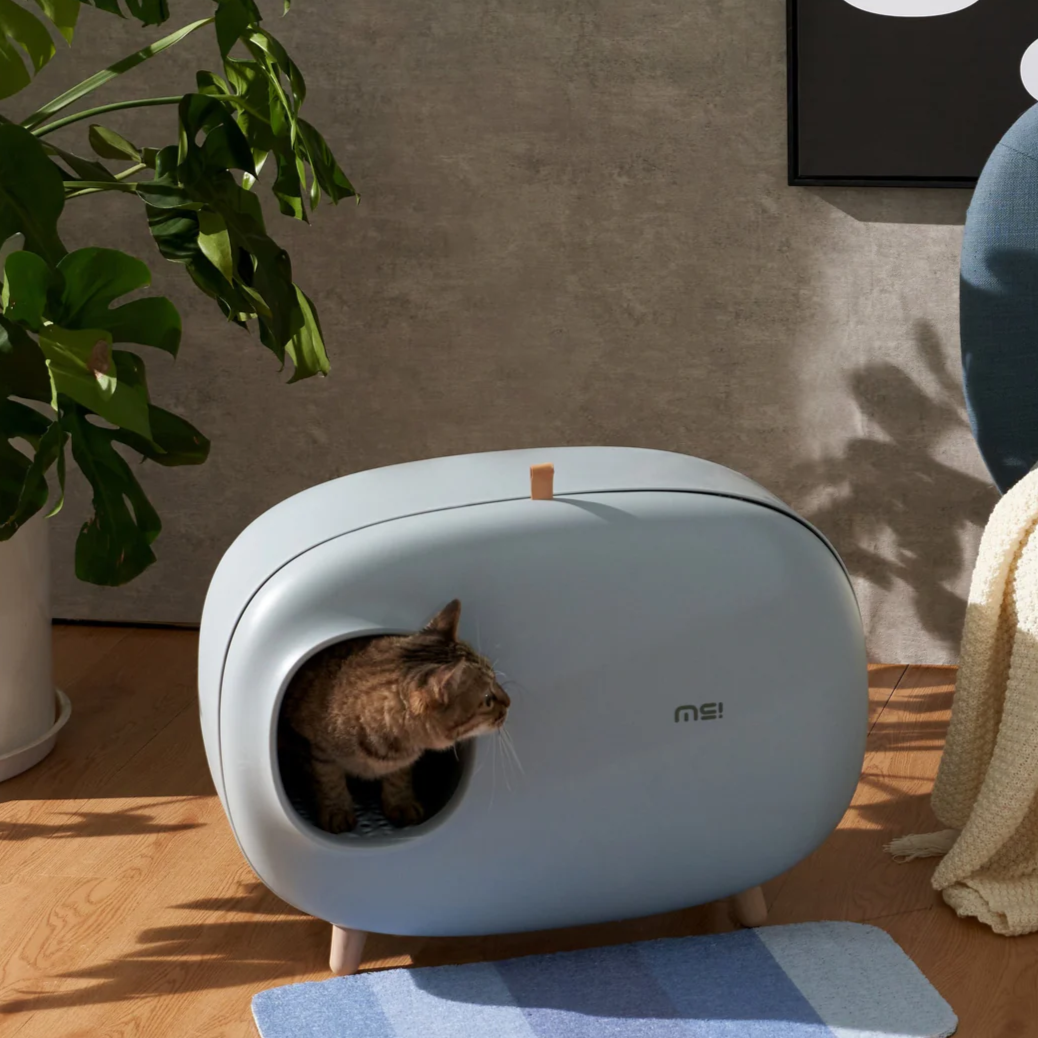 Makesure Modern Cat Litter Box And Tray - HAYVYN