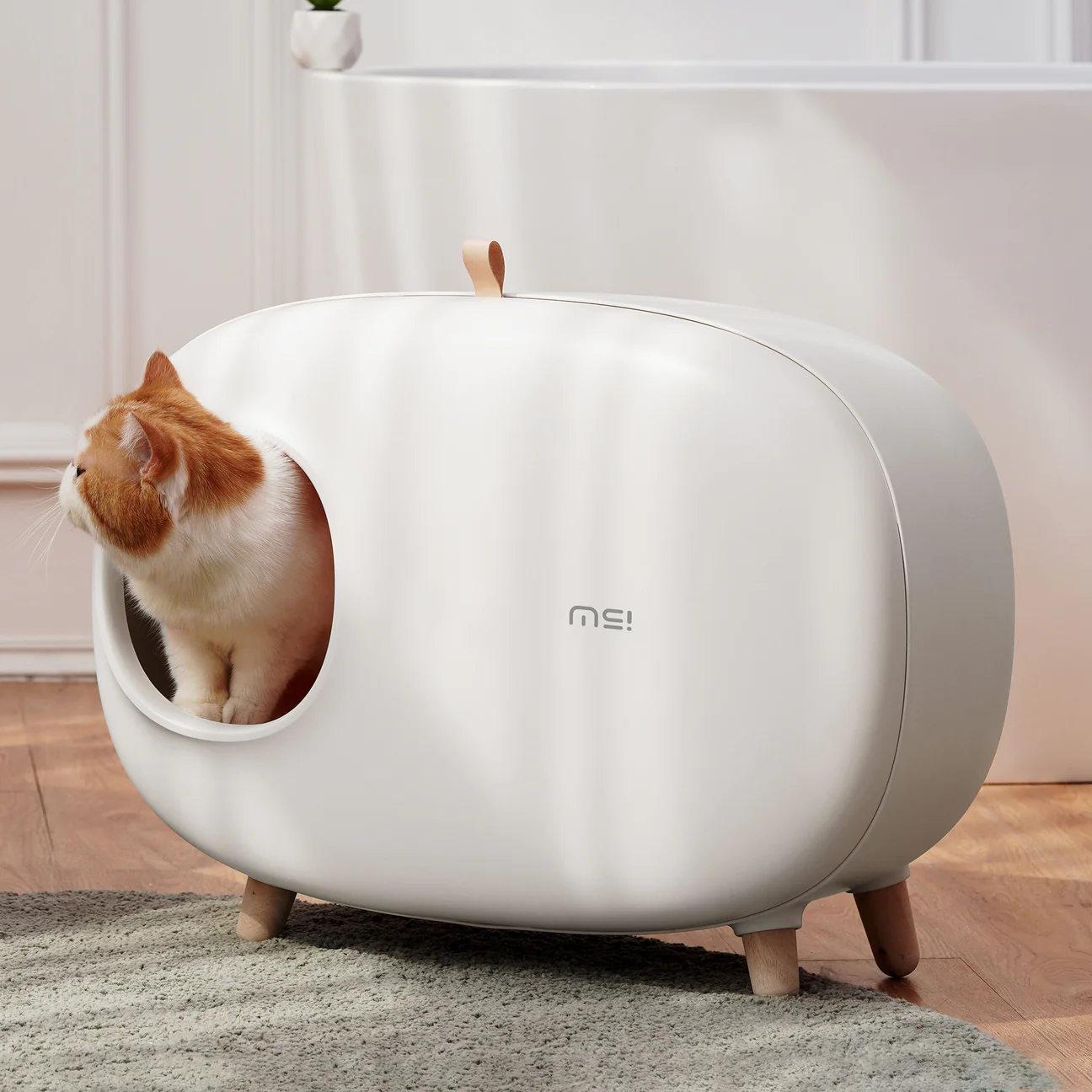 Makesure Modern Cat Litter Box And Tray - HAYVYN