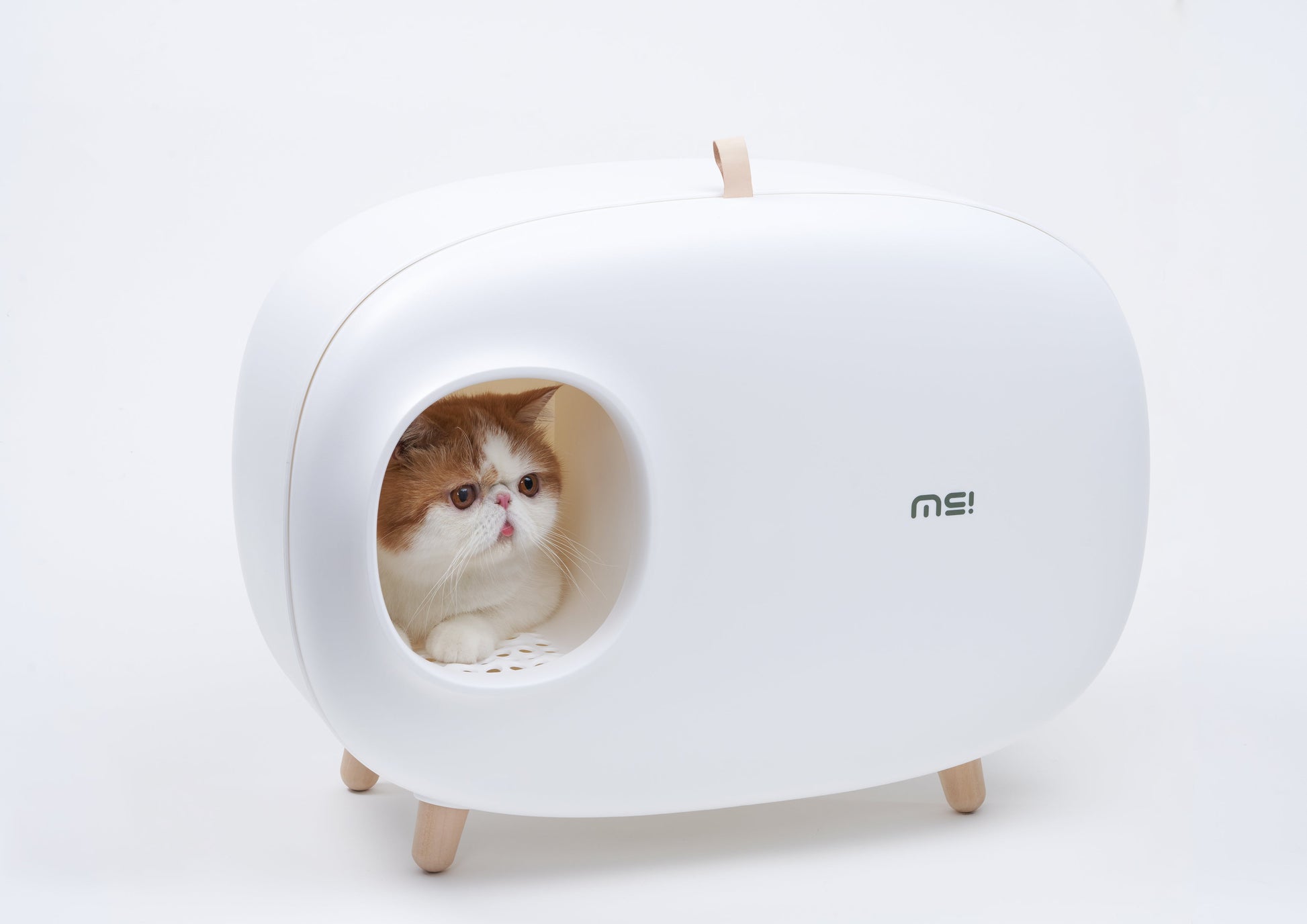 Makesure Modern Cat Litter Box And Tray - HAYVYN